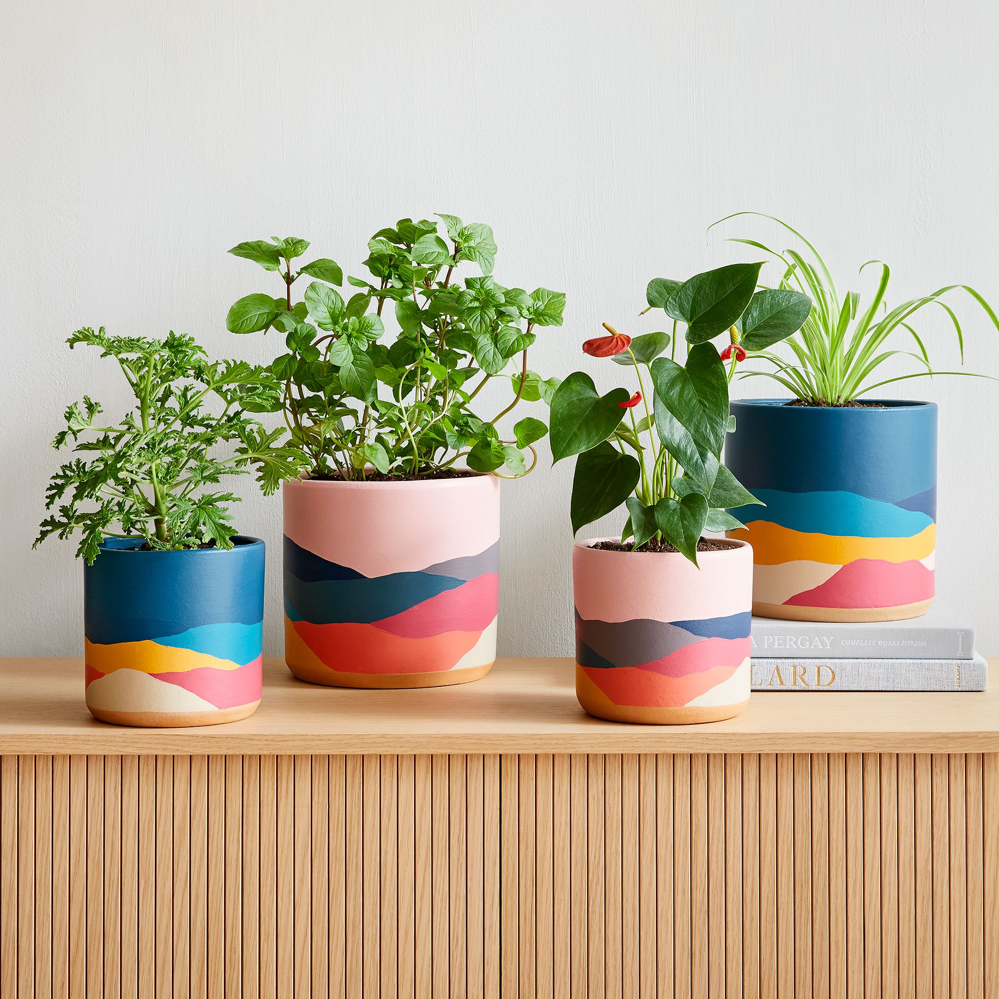 Abstract Planter (Set of 4)